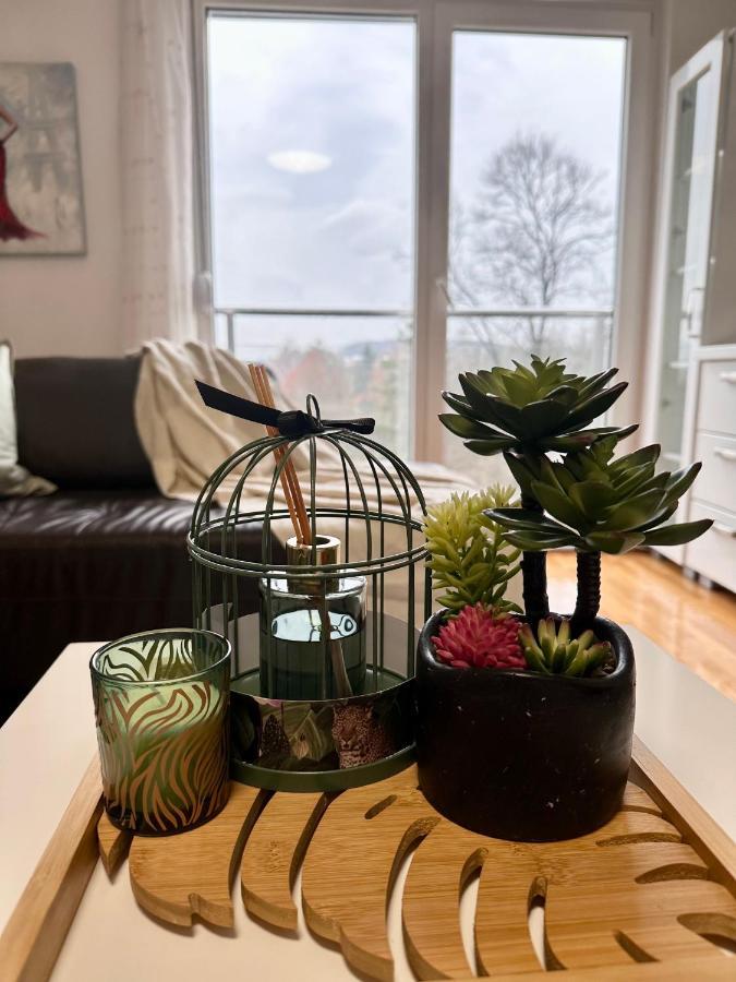 Apartman Floresta - In Front Of Japanese Garden, Enchanting Nature View, Spotless And Cozy Vrnjacka Banja Ngoại thất bức ảnh